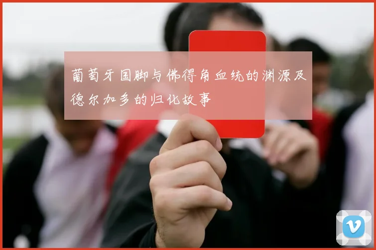 葡萄牙国脚与佛得角血统的渊源及德尔加多的归化故事